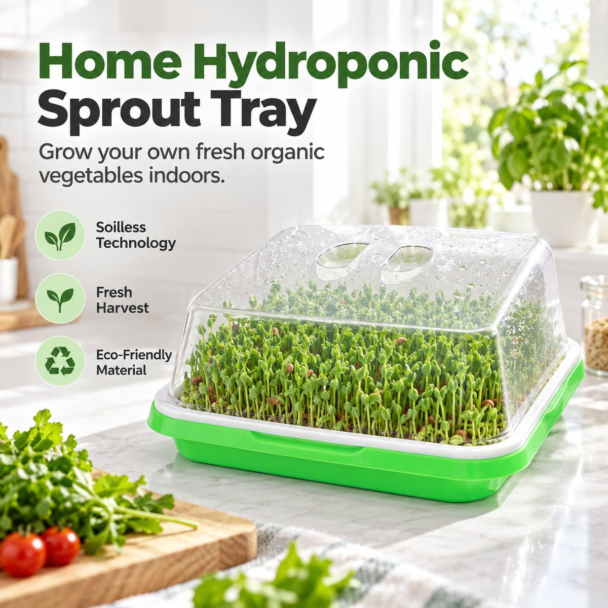 🌱🥬 Plateau de semis hydroponique – Cultivez vous-même des légumes frais sans terreau
