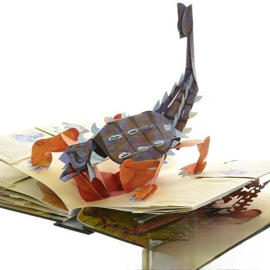 ⏰Promotion spéciale hebdomadaire : 60 % de réductio🦖Encyclopédie 3D Prehistorica Dinosaurs📙HARDCOVE