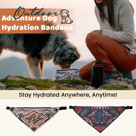 🐾 Bandana Gourde 2-en-1 pour Chien : Hydratez votre Poilu en un Clin d'Œil ! ⛰️