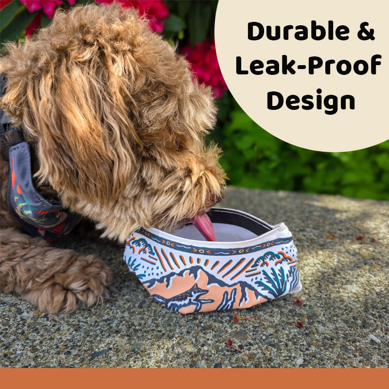 🐾 Bandana Gourde 2-en-1 pour Chien : Hydratez votre Poilu en un Clin d'Œil ! ⛰️
