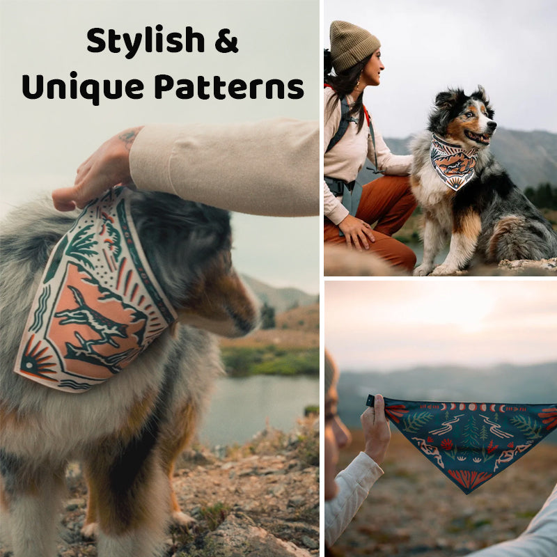 🐾 Bandana Gourde 2-en-1 pour Chien : Hydratez votre Poilu en un Clin d'Œil ! ⛰️