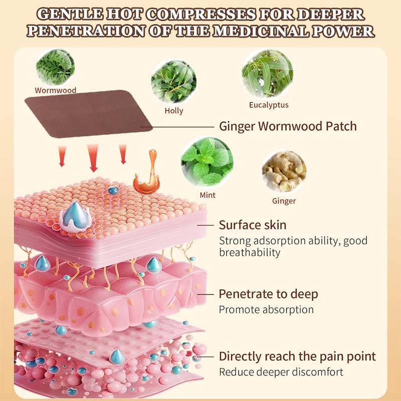 🔥2025 Vente chaud🎁Patchs pour moxibustion Malmört