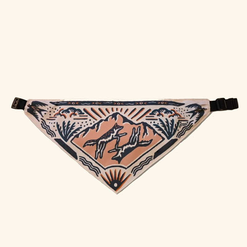 🐾 Bandana Gourde 2-en-1 pour Chien : Hydratez votre Poilu en un Clin d'Œil ! ⛰️