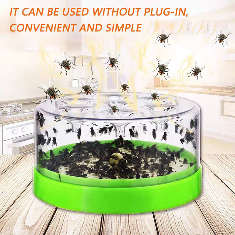🪰 Piège à mouches écologique — Libérez votre maison des insectes indésirables ! 🛑
