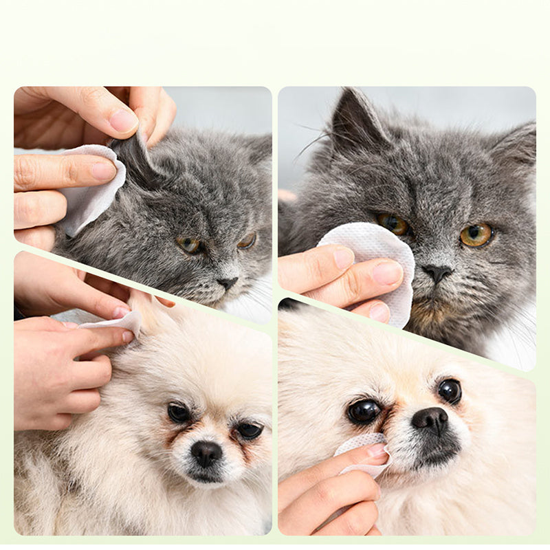 ✨️Surprise : 49 % de réduction 🐈Lingettes Nettoyantes Douces Yeux & Oreilles pour Animaux 🐾✨