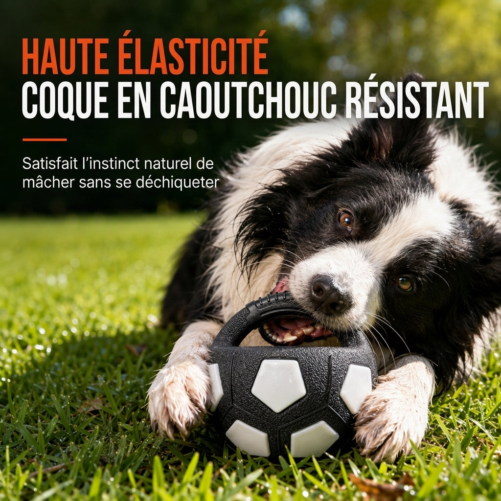 🐕 Jouet de Tir Interactif Ultra-Résistant pour Chien – Anti-Morsure, Étanche et Stimulant